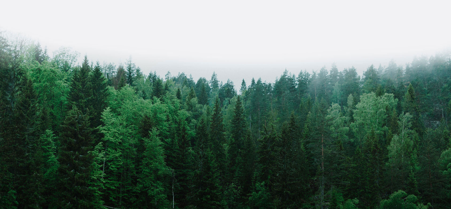 background yadea 2