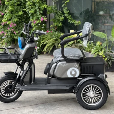 Xe dien ba banh Victory V8 3