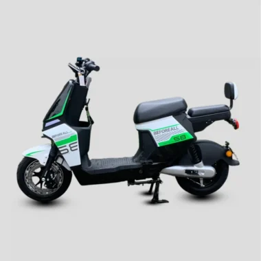 trang 768x768.png