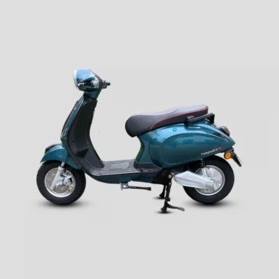 xanh reu bong 1 768x768.png