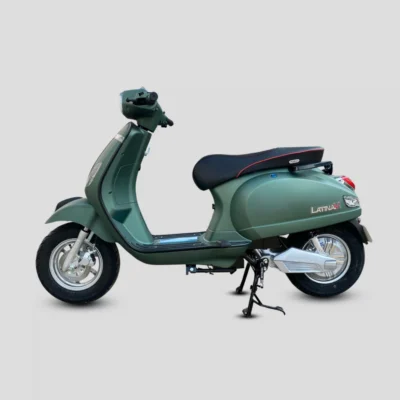 xanh reu mo 1 1024x1024.png