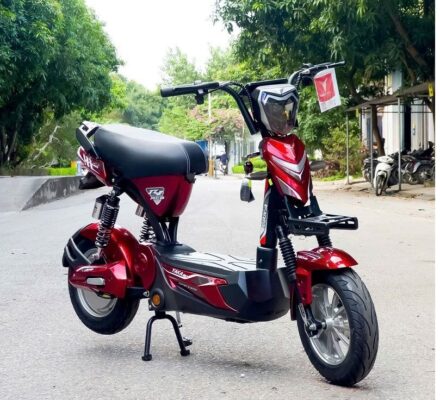 xe dap dien r1