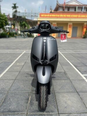 xe dien lavia gx xam san 1